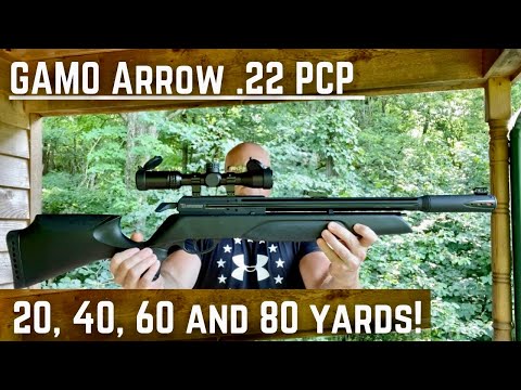 Gamo Arrow .22 Range Time!  Ringing steel out to 80 yards.