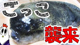 【NWTR】ごっこ汁