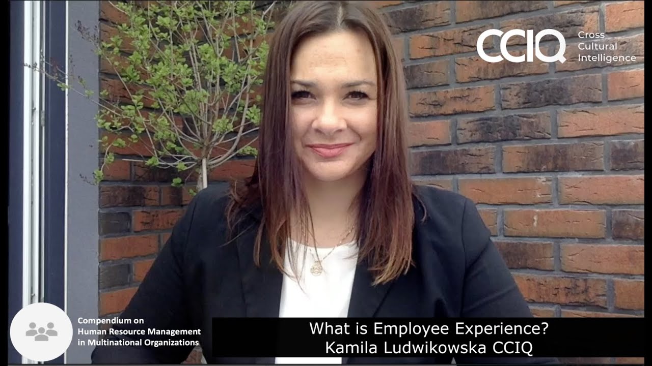 What is Employee Experience?
