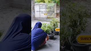 Download lagu Slogan ibu rumah tangga ‼️ #adayinmylife #statuswa #kegiataniburumahtangga #istri mp3