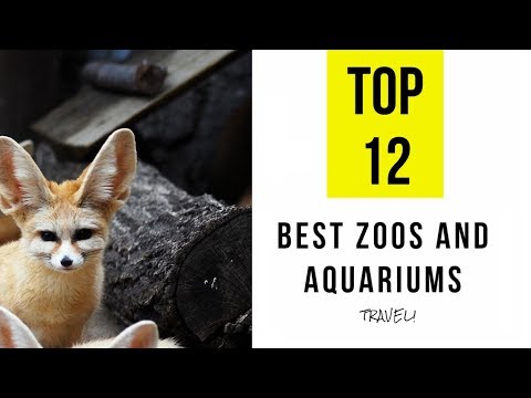 TOP 12. Best Zoos and Aquariums in Louisiana