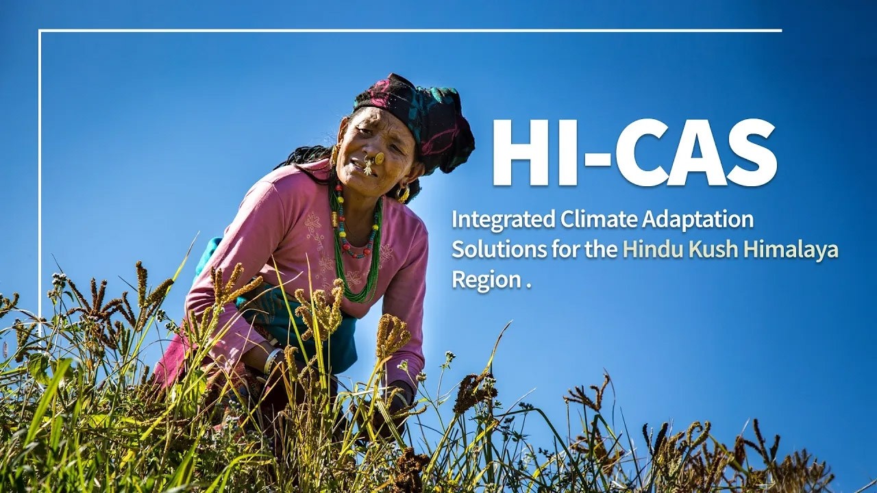 Introduction to HI-CAS