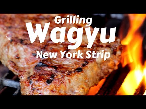 download lagu mp3 mp4 Grilling Wagyu New York Strip, download lagu Grilling Wagyu New York Strip gratis, unduh video klip Grilling Wagyu New York Strip