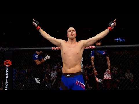 UFC : Stefan Struve vs Andrei Arlovski