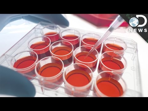 Why Are Stem Cells So Important?