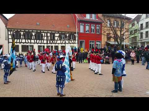 WiWa-Lokal.de - Einmarsch Rathauserstürmung Wiesloch 2018