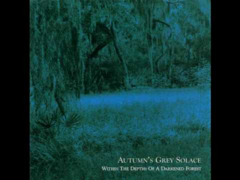 Autumn's Grey Solace - Reflections of falling leaves