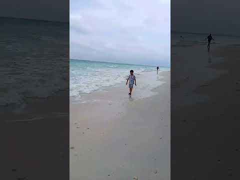 Bharatpur Beach Neil Island