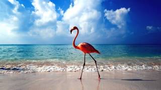 Deftones Gore - Acid Hologram