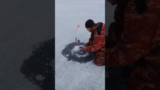 Рыбалка на ярославском водохранилище тамбовской области