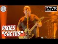 Pixies "Cactus" LIVE