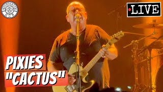 Pixies "Cactus" LIVE