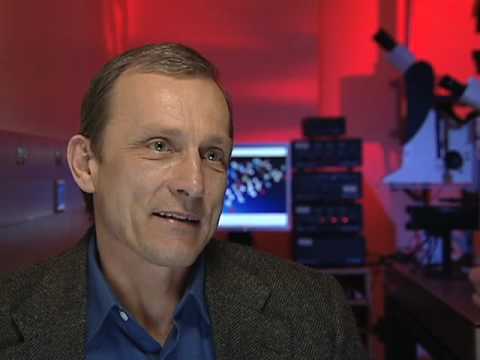 Forensic Investigation Enhanced by Raman Spectroscopy Research at UAlbany