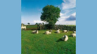 The KLF - Chill Out (FULL ALBUM)