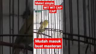 Download lagu Tembakan Pleci Wit Wit Cap Cap simple dan masuk mp3