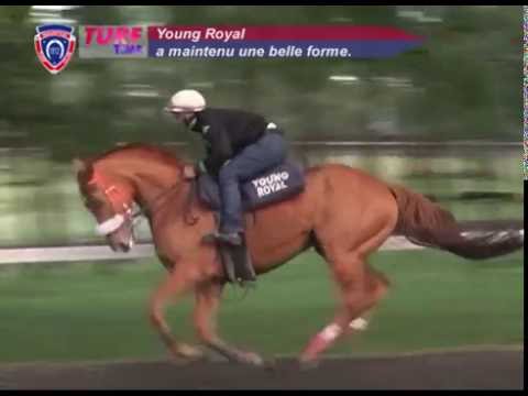 FLOREAL NEWS - RACE MEETING 16 (08.07.2016)