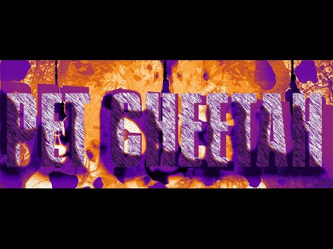 Pet Cheetah [+Covers part 2] ||| Fan-Made Visual ||| Twenty One Pilots