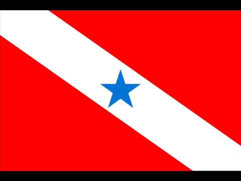 Brega do Tupinambá   Júnior Rêgo   Brega Marcante