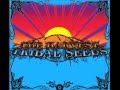 Tribal Seeds - Mad Man