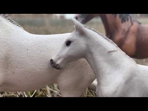 Forbidden Love-- Season 1, Episode 6-- Schleich Horse Movie-- Responsibility
