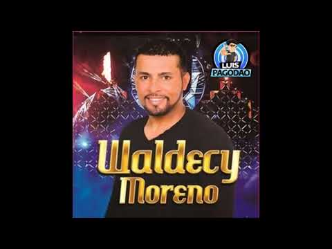 banda new horizonte não me peças