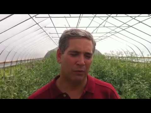 St. Joseph Mercy Ann Arbor channels farming roots