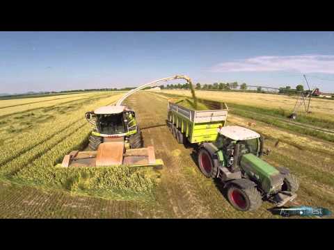 Wheat Silage in Italy |Claas Jaguar 980 Dynamic Power | Fendt 936 | 820 | 939 | Turbostar 190-38