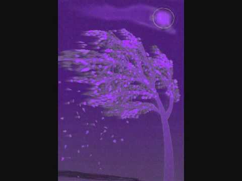 Houston Wells North Wind