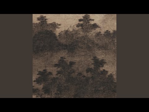 Sound Through Buried Forest