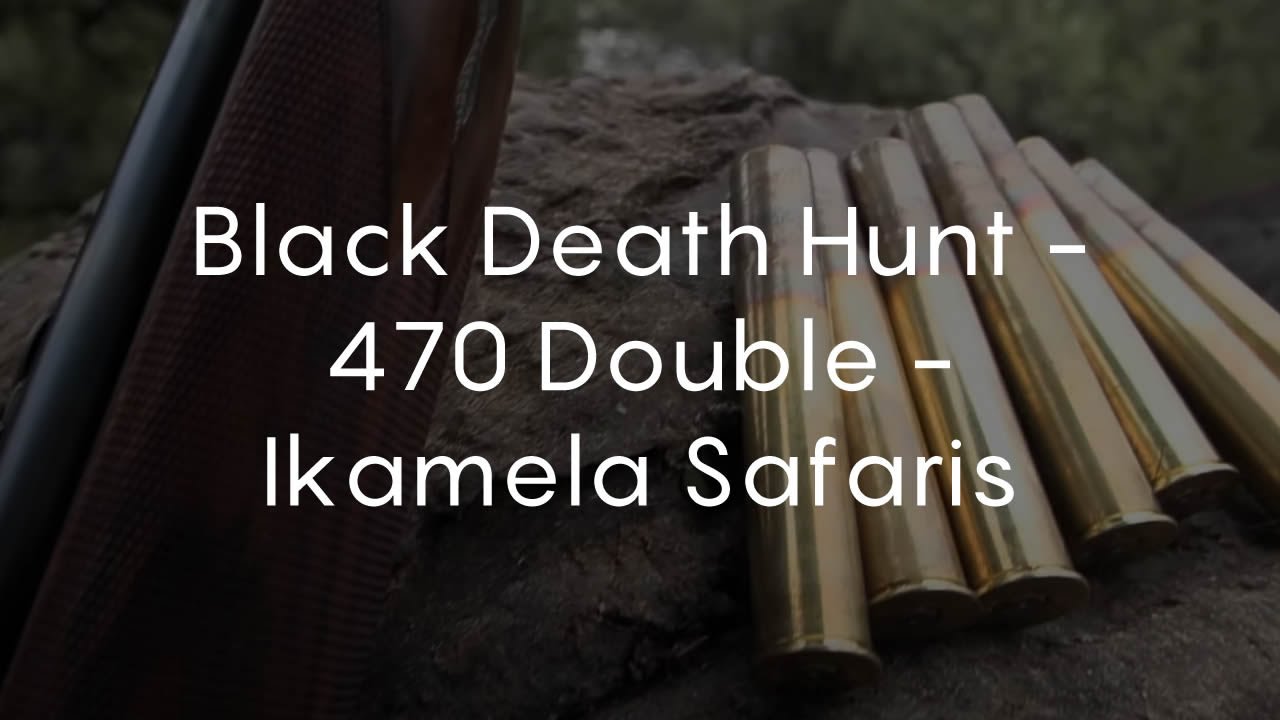 Black Death Hunt - 470 Double - Ikamela Safaris