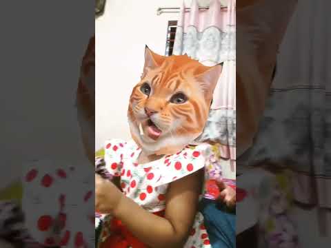 Maliha😺 #cat #cats