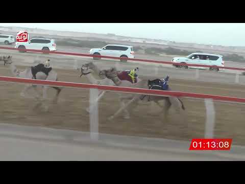  ش 1 (الشاهينيه) لـ حمد سعيد بالطير العامري 2:13 ، شارة صندوق حلفه 2026/05/31 فطامين الجبيب