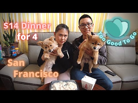$14 Dinner for 4 people in San Francisco - Too Good To Go Speed Review