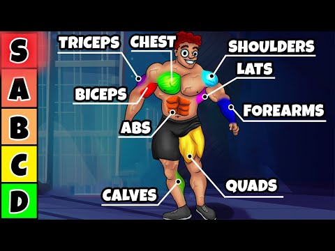 Ranking ALL Exercises For Each Muscle Group (best to worst)