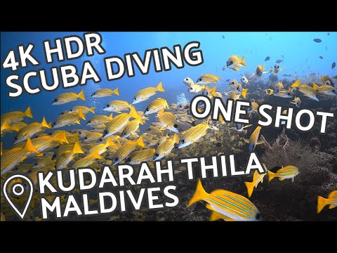 4K HDR Scuba Diving - One Shot - Kudarah Thila, South Ari Atoll, Maldives