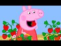 Best Of Peppa Pig Season 7 Compilation 37 Cartoons For Kids