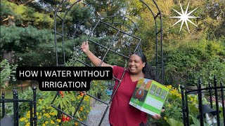 How I water my garden without irrigation! || Garden Grid & olla’s!! 