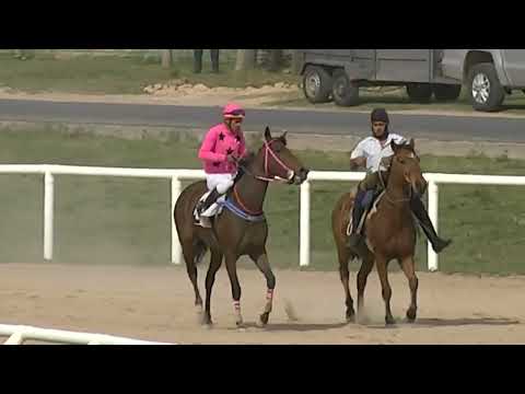 SINT PAYSANDU - 220513 c02 -  1° MOJIGATA