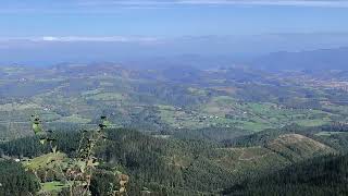 Bizkaia erdia