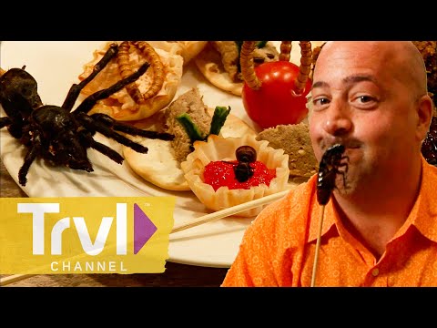 Eating a Plate FULL of Bugs | Bizarre Foods with Andrew Zimmern | Travel Channel