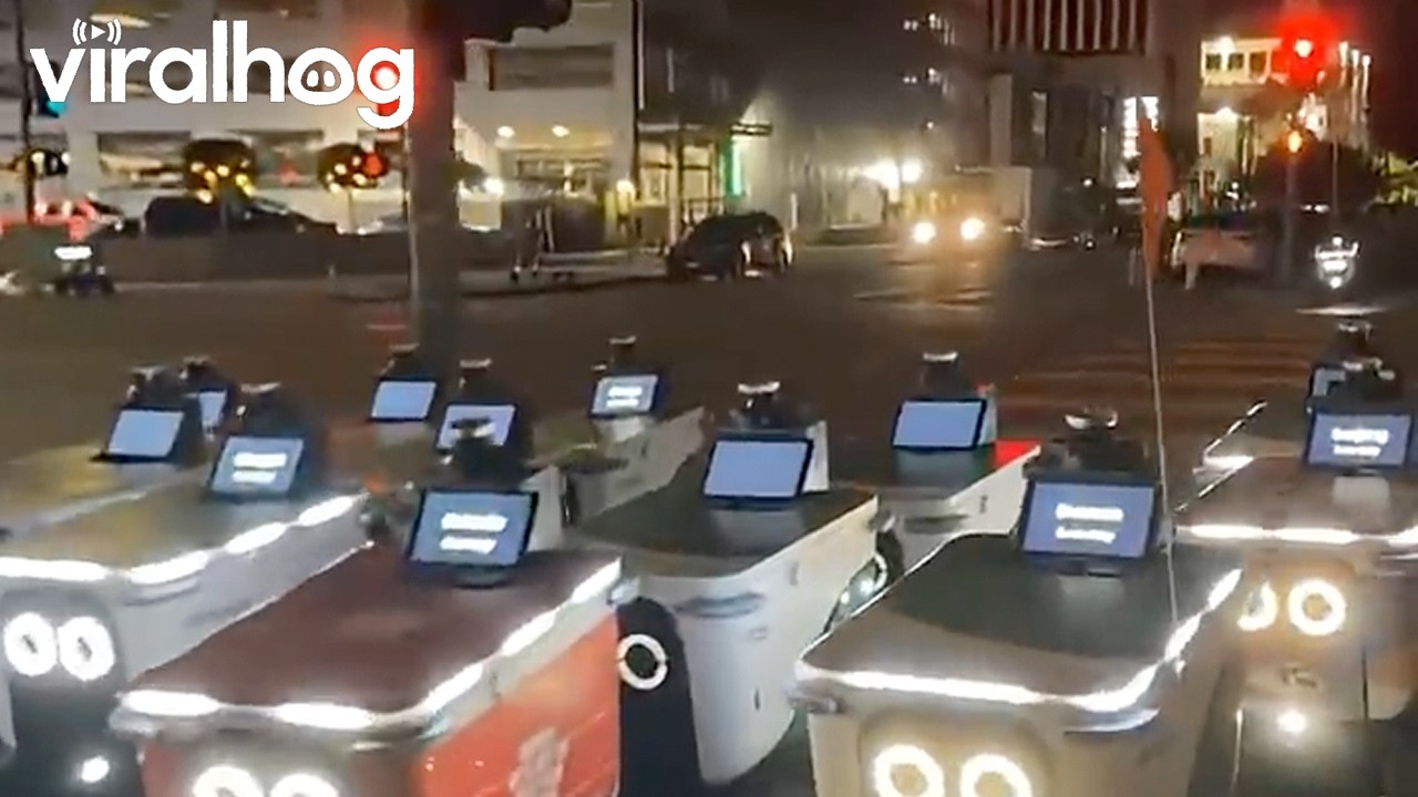 Followed a Food Delivery Robot to a Little Robot Gathering || ViralHog
