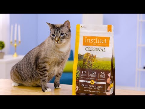 Instinct Original Cat Food | Chewy