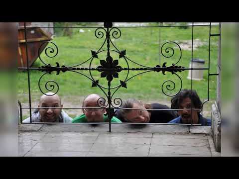 Gajo kao odbojkaški sudija (The Books of Knjige)