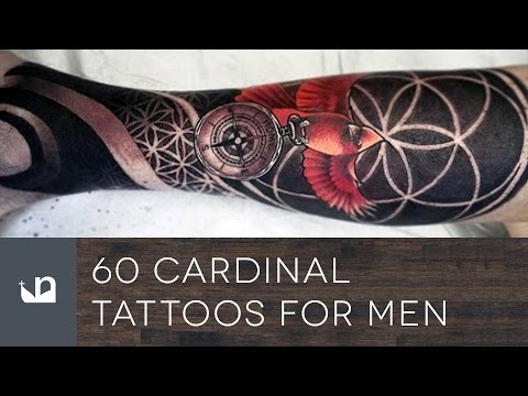 60 Cardinal Tattoos For Men
