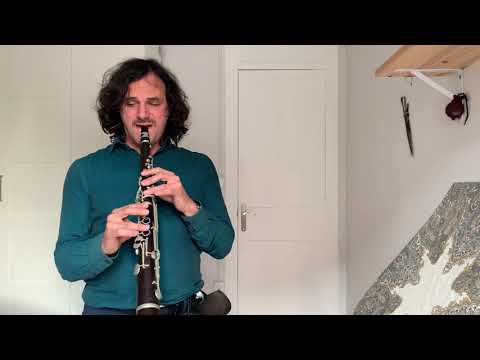 Tcha Limberger off stage,  two melodies on taragot:  verte campagne and le bleu de l'été,