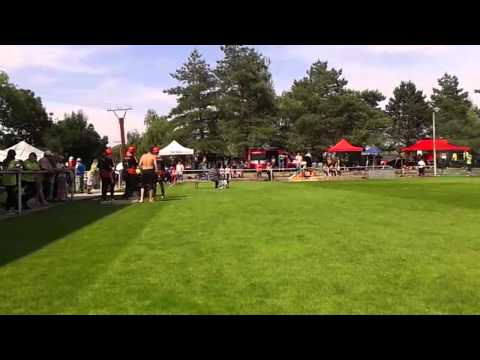 Lanžhot 5.7.2014 - SDH Moutnice