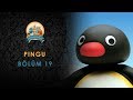 Pingu Bölüm 19