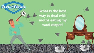 What is the best way to deal with moths eating my wool carpet?