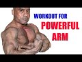 Complete Arm Workout Routine Build Bigger Biceps Triceps 8 Best Exercises For Massive Arms