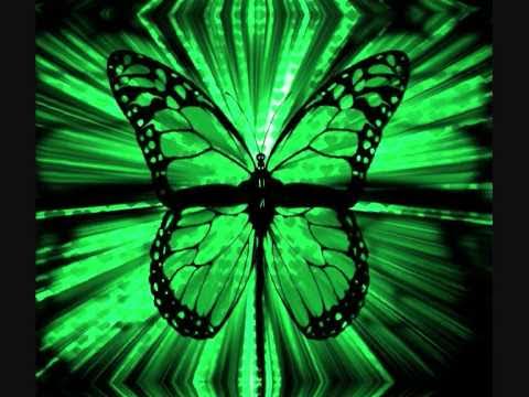 Universal Trilogy-Butterfly